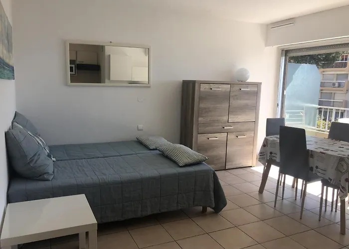 Apartamento Climat. Avec Balcon Proche Et Commerces, Wi-fi Gratuit - Fr-1-466a-27
