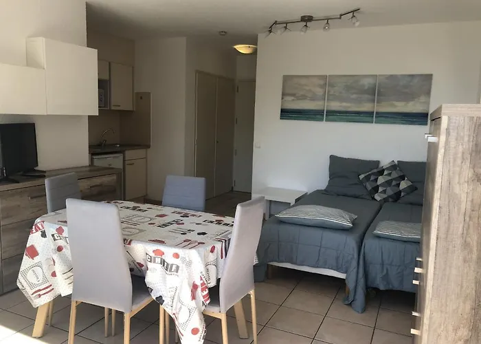 Apartamento Climat. Avec Balcon Proche Et Commerces, Wi-fi Gratuit - Fr-1-466a-27 *